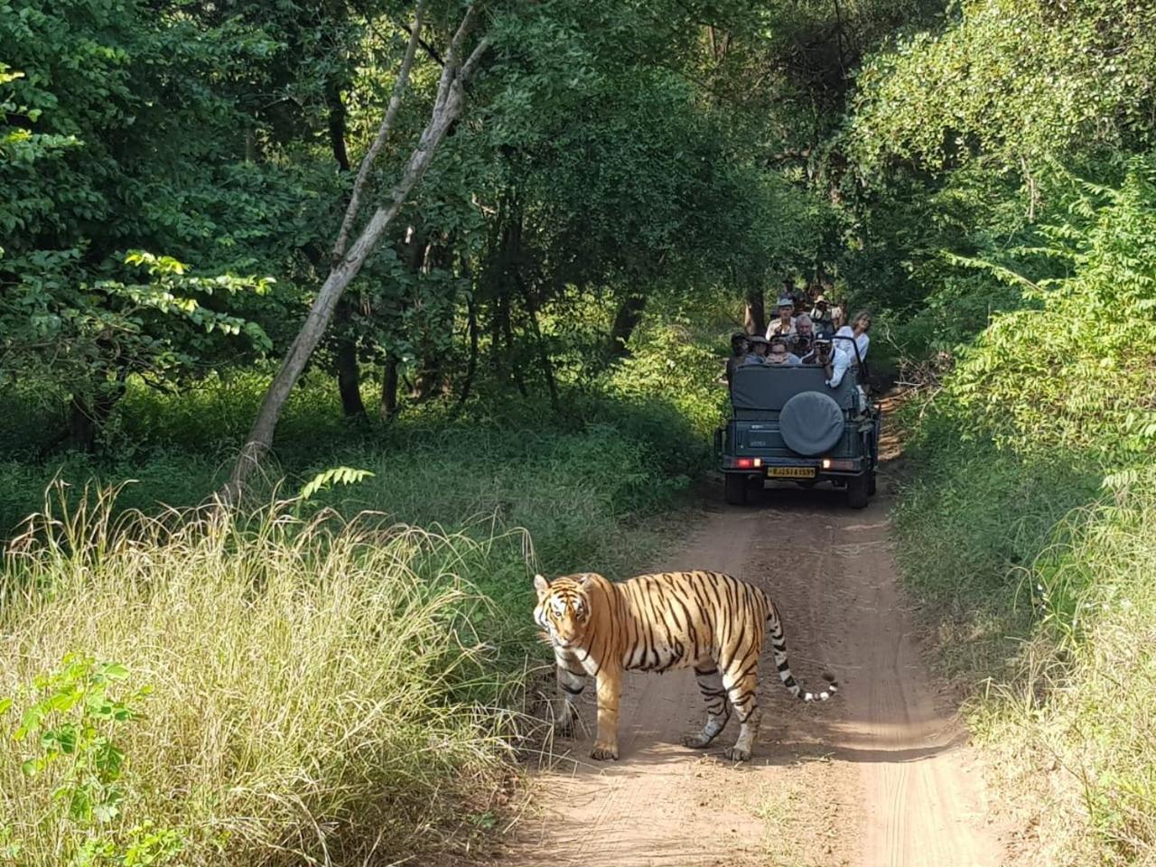 Khajuraho Homestay Buitenkant foto